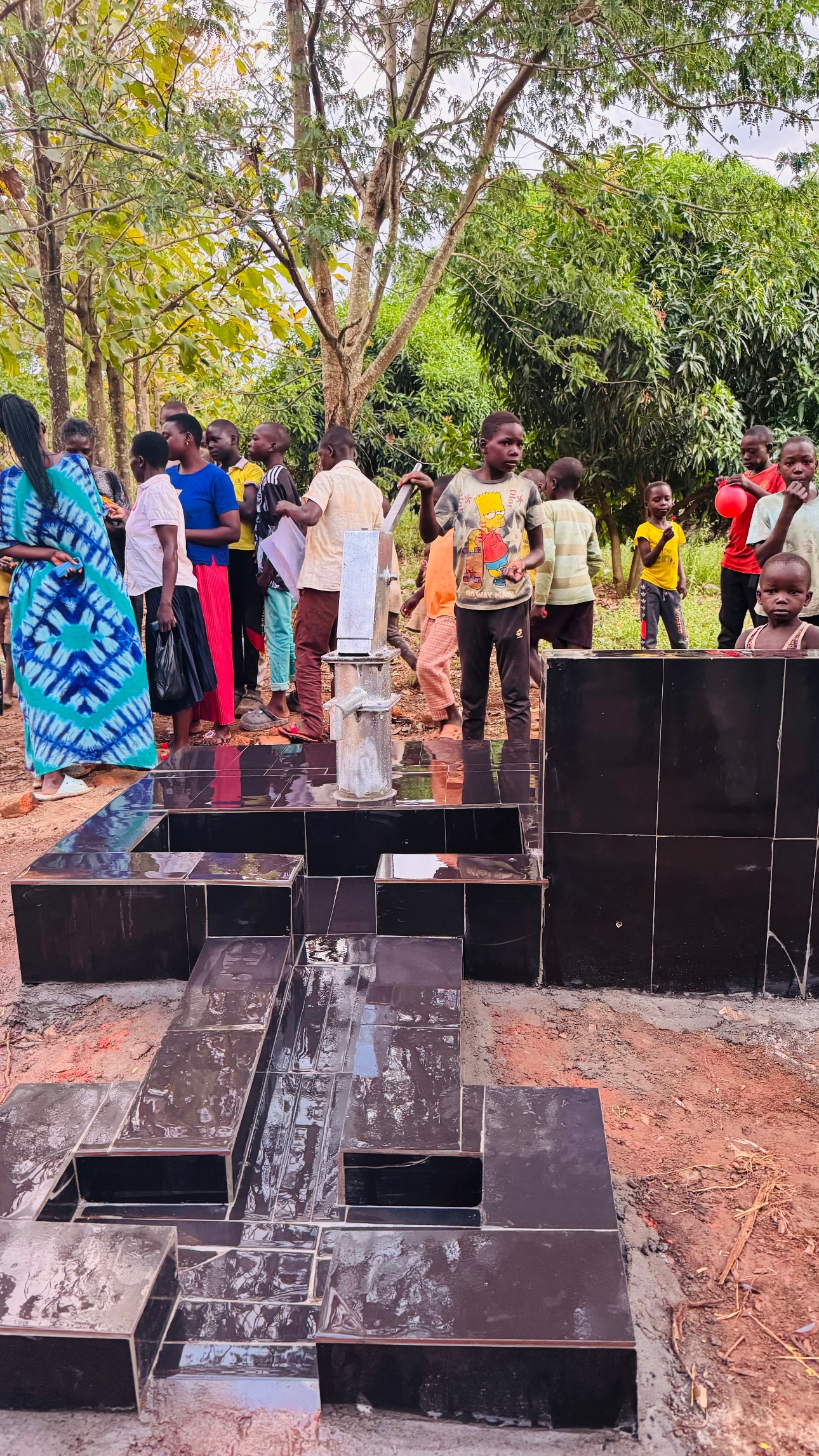 Water Well Project